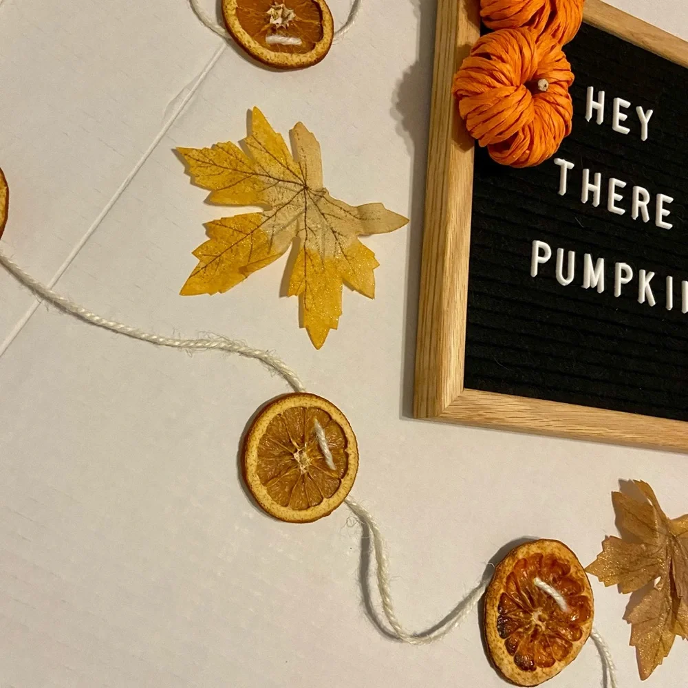Dry Orange Garland, 30 feet